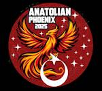 International Anatolian Phoenix-2025 Exercise
